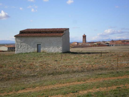 Palomar en el pueblo